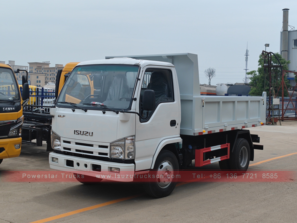 Filipina ISUZU 4X2 6 roda dump truck 2T 3T 5T ​​Tipper Mini Cargo Truck Dijual