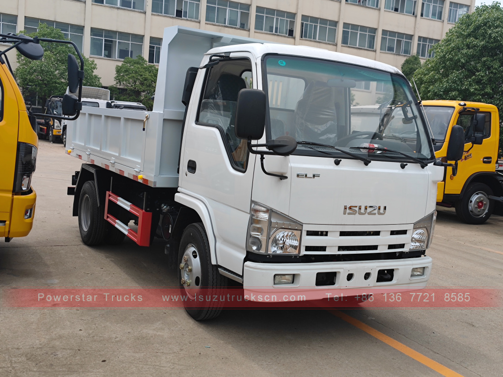 Filipina ISUZU 4X2 6 roda dump truck 2T 3T 5T ​​Tipper Mini Cargo Truck Dijual