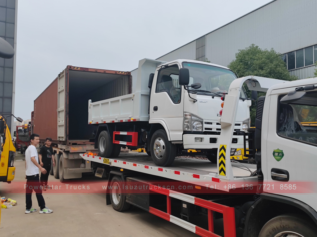 Filipina ISUZU 4X2 6 roda dump truck 2T 3T 5T ​​Tipper Mini Cargo Truck Dijual