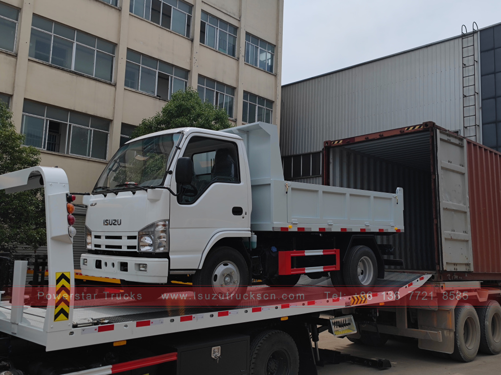 Filipina ISUZU 4X2 6 roda dump truck 2T 3T 5T ​​Tipper Mini Cargo Truck Dijual