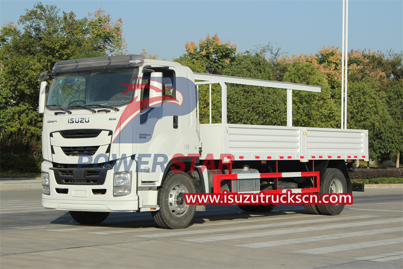 Isuzu 24ft Dropside Work Trucks