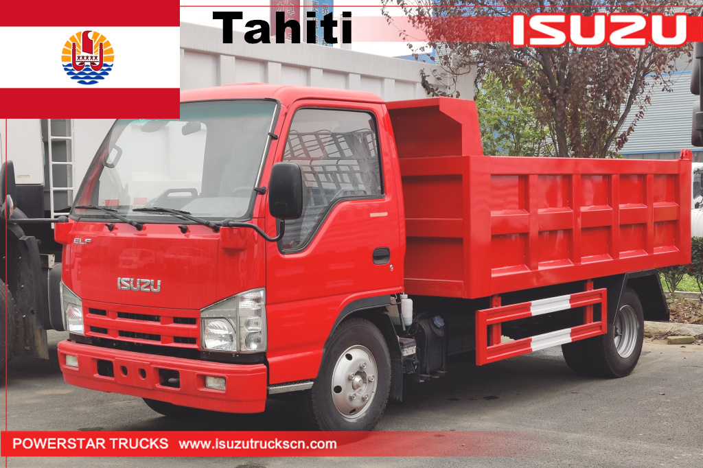 Tahiti - 1 unit Truk Tipper Dump ISUZU mini elf
    