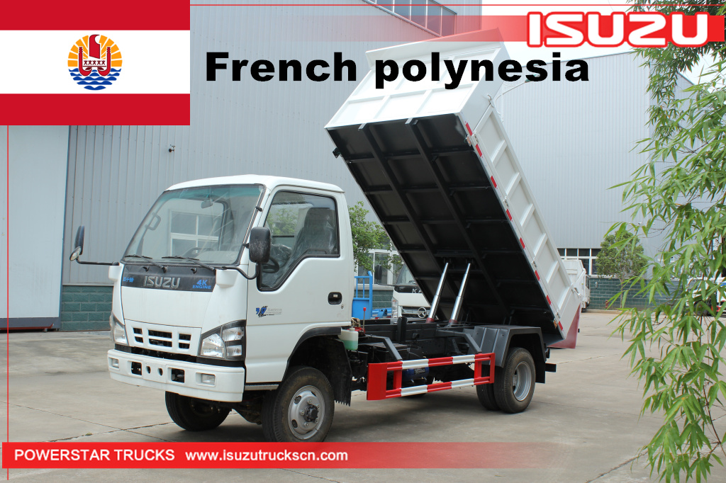 Polinesia Perancis - 1 unit ISUZU NKR 4*4 Dump Tipper Truck
    